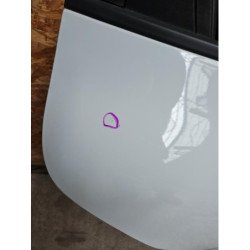 Porte Arriere Droit Renault Clio 5 (2)